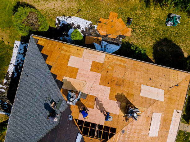 Best Storm Damage Roof Repair  in Live Oak, FL